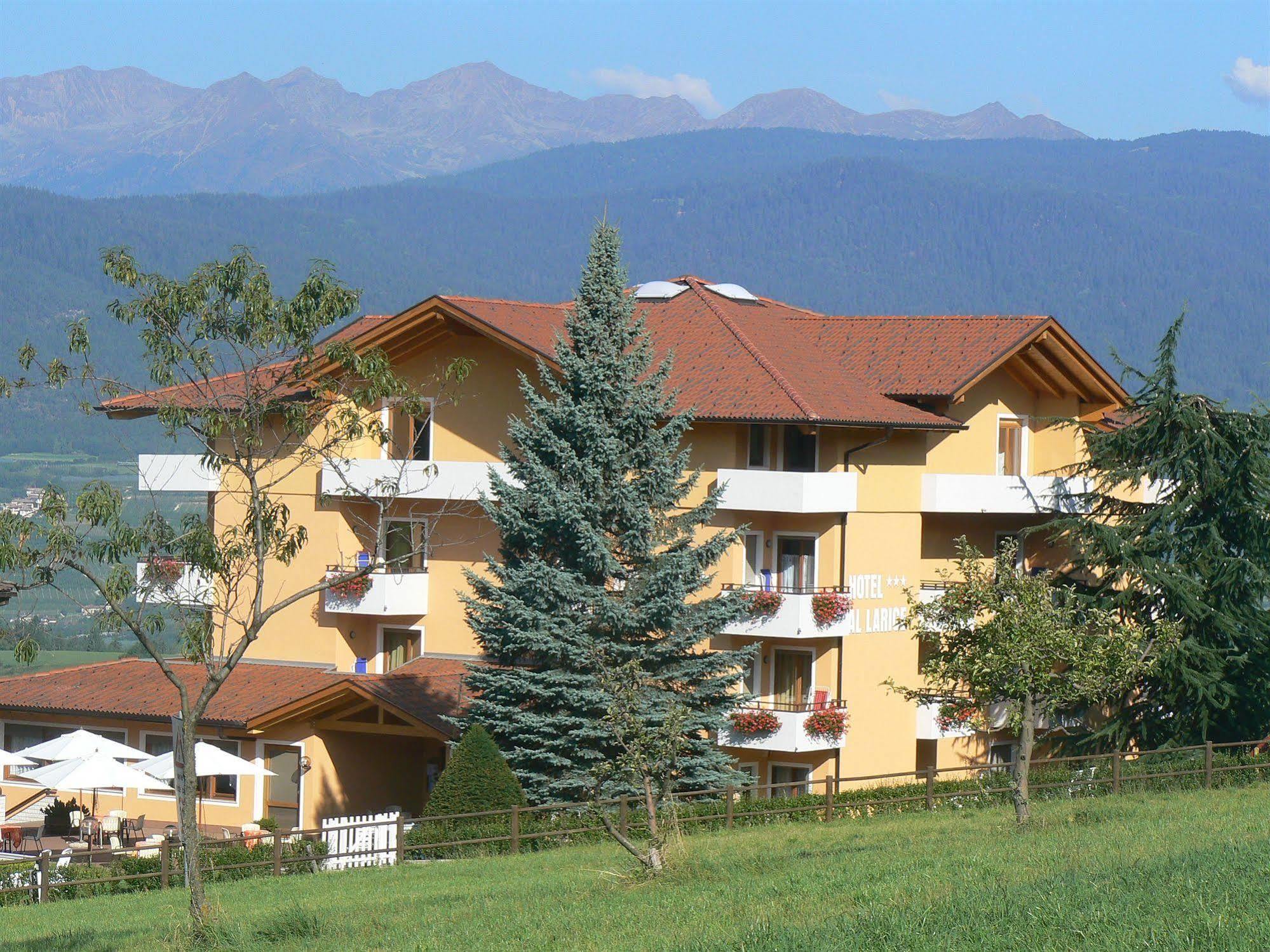 Hotel & Appartamenti Al Larice Ronzone Exteriér fotografie